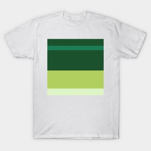 A splendid tranquility of Salem, Seafoam Blue, Tea Green, Cal Poly Pomona Green and June Bud stripes. T-Shirt